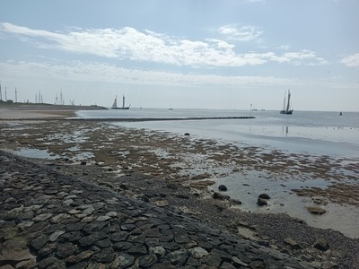 img-20240519-120550-604 img-20240519-120550-604